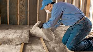 Best Blown-In Insulation  in Pinewood, FL