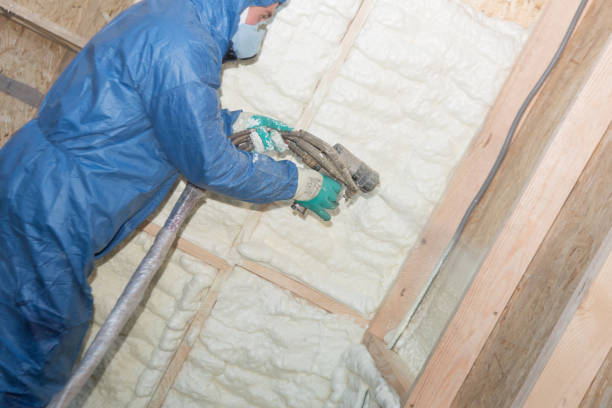 Best Wall Insulation Installation  in Pinewood, FL